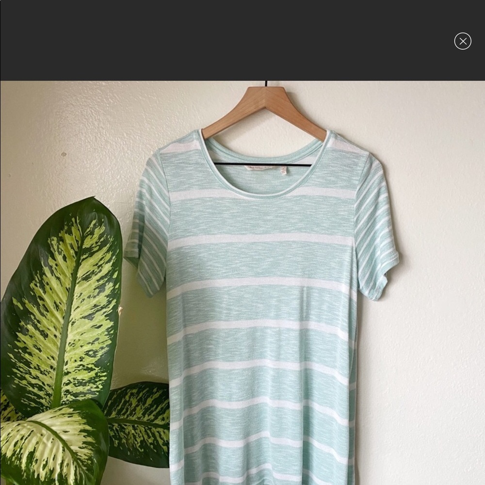 Soft Surroundings | Amata Aligned Tunic